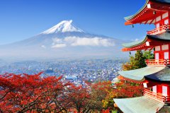 听留学生讲日本有哪些热门专业选择？