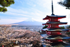 日本留学存在哪些优势？