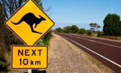 出国留学，澳洲留学你必须知道的交通规则